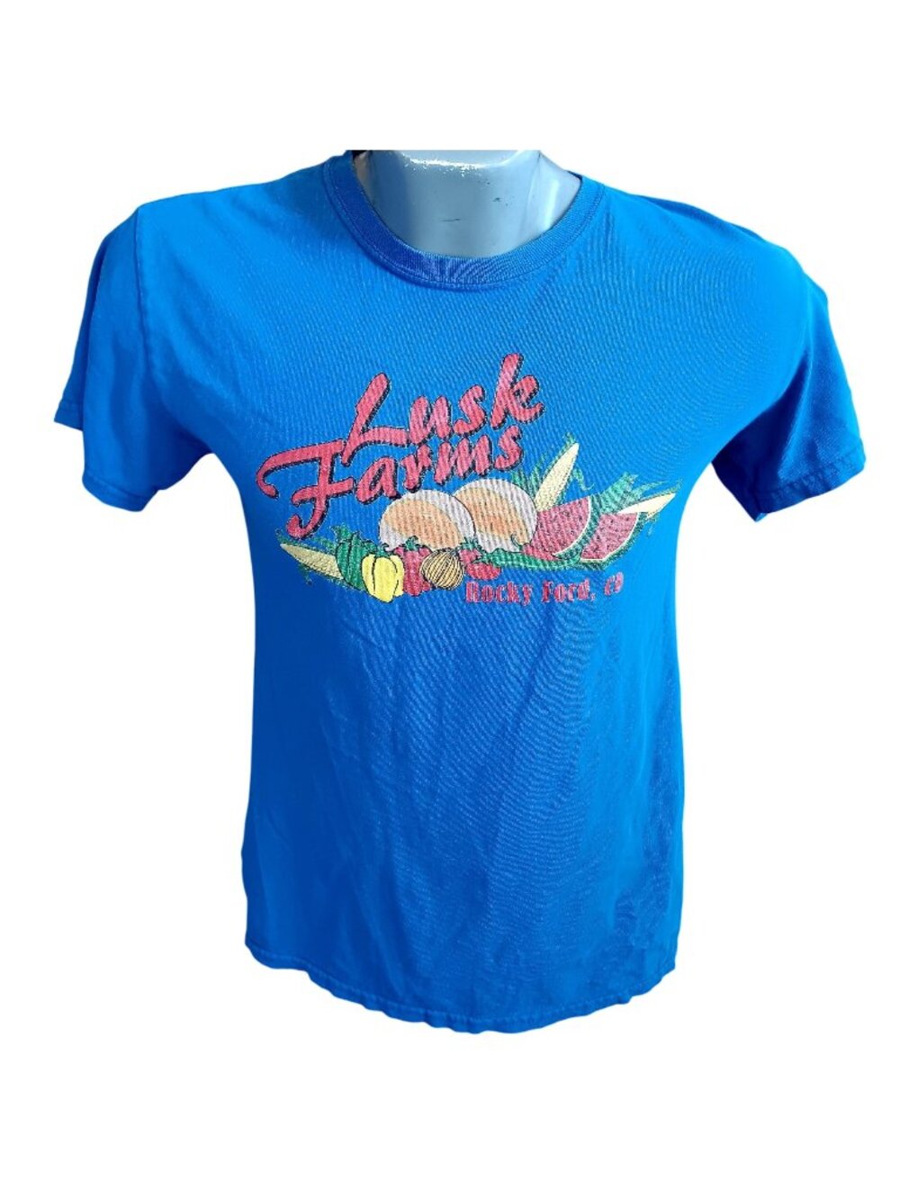 Rocky Ford Colorado Men's T-shirt Small Lusk Farms Gildan Heavy Cotton